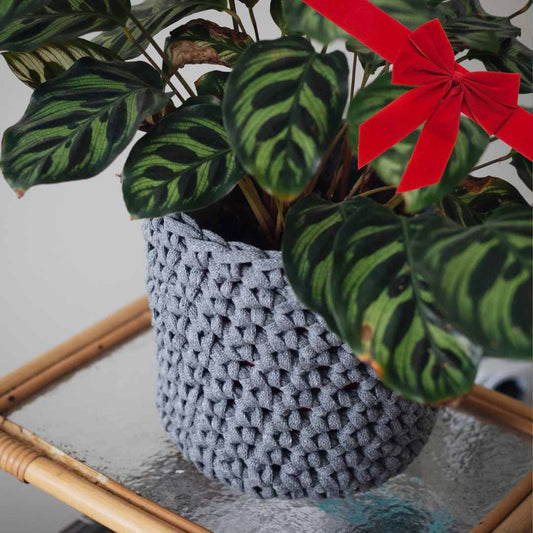 GESCHENKBOX: Gehäkchter Blumentopf