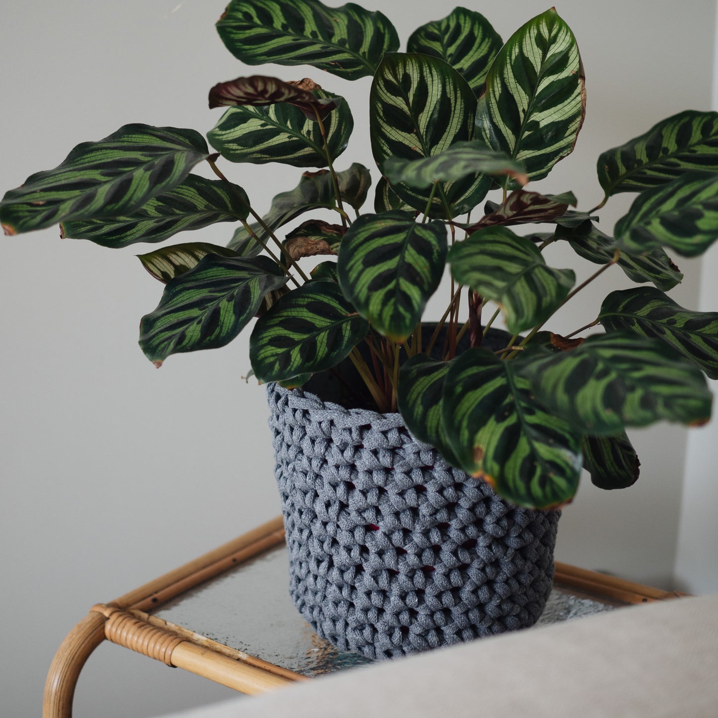 DIY-kit: Virkad blomkruka