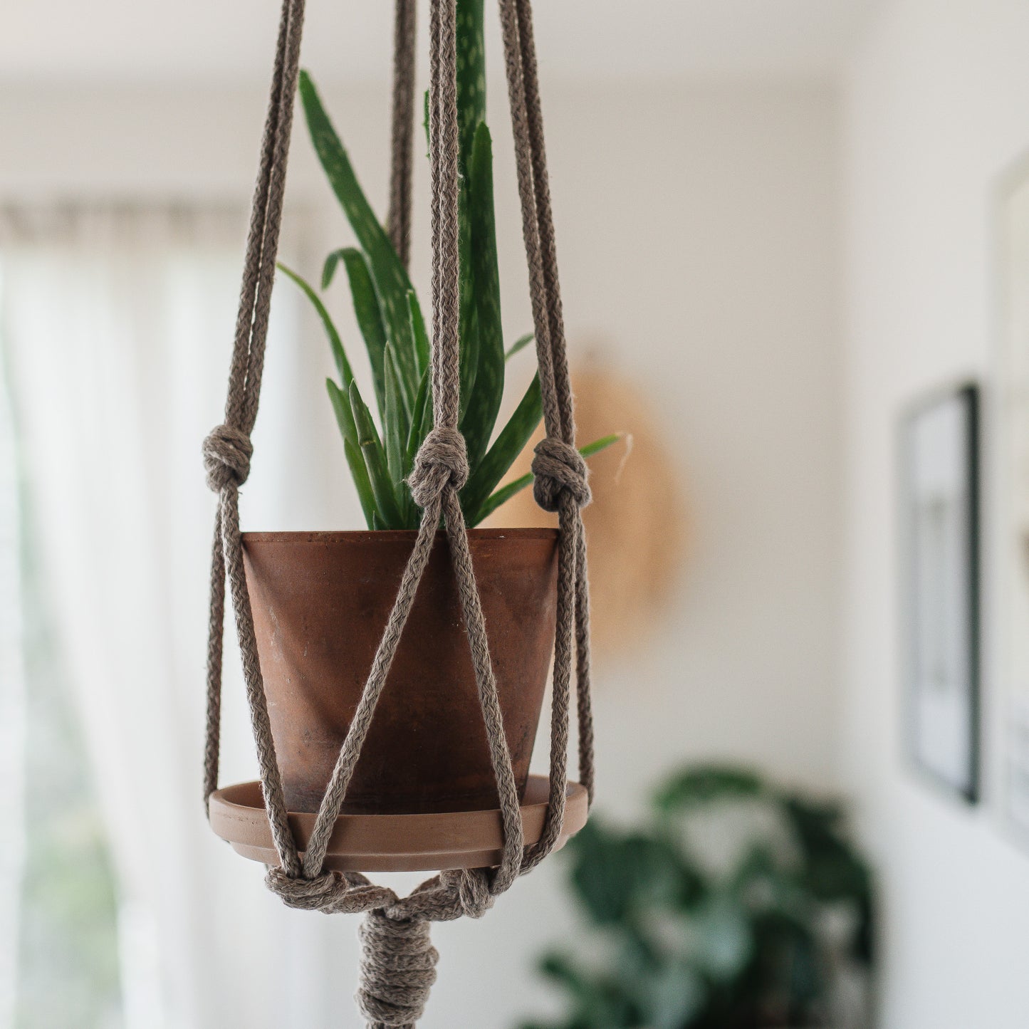 DIY-kit: Makramé ampel