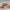 Papieren garen | 100g
