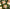 Kampanjbanner