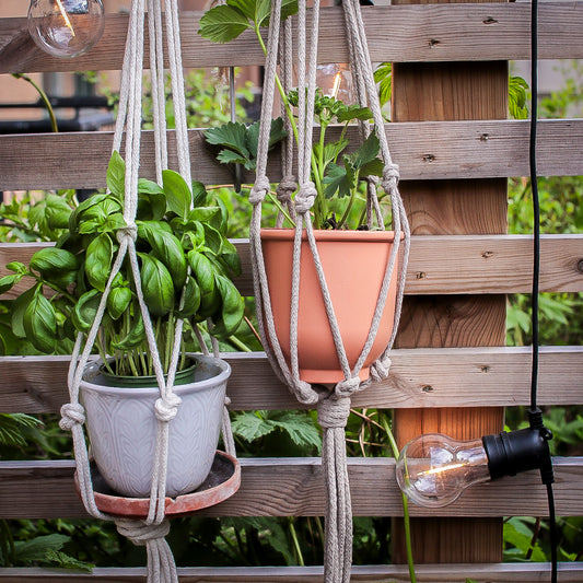 DIY kit: Macramé plant hanger