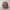 MYO Basic Wolle | 100 g