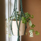 DIY kit: Macramé plant hanger