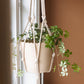 DIY kit: Macramé plant hanger