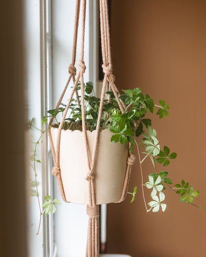 DIY kit: Macramé plant hanger