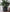 DIY-kit: Gehaakte bloempot