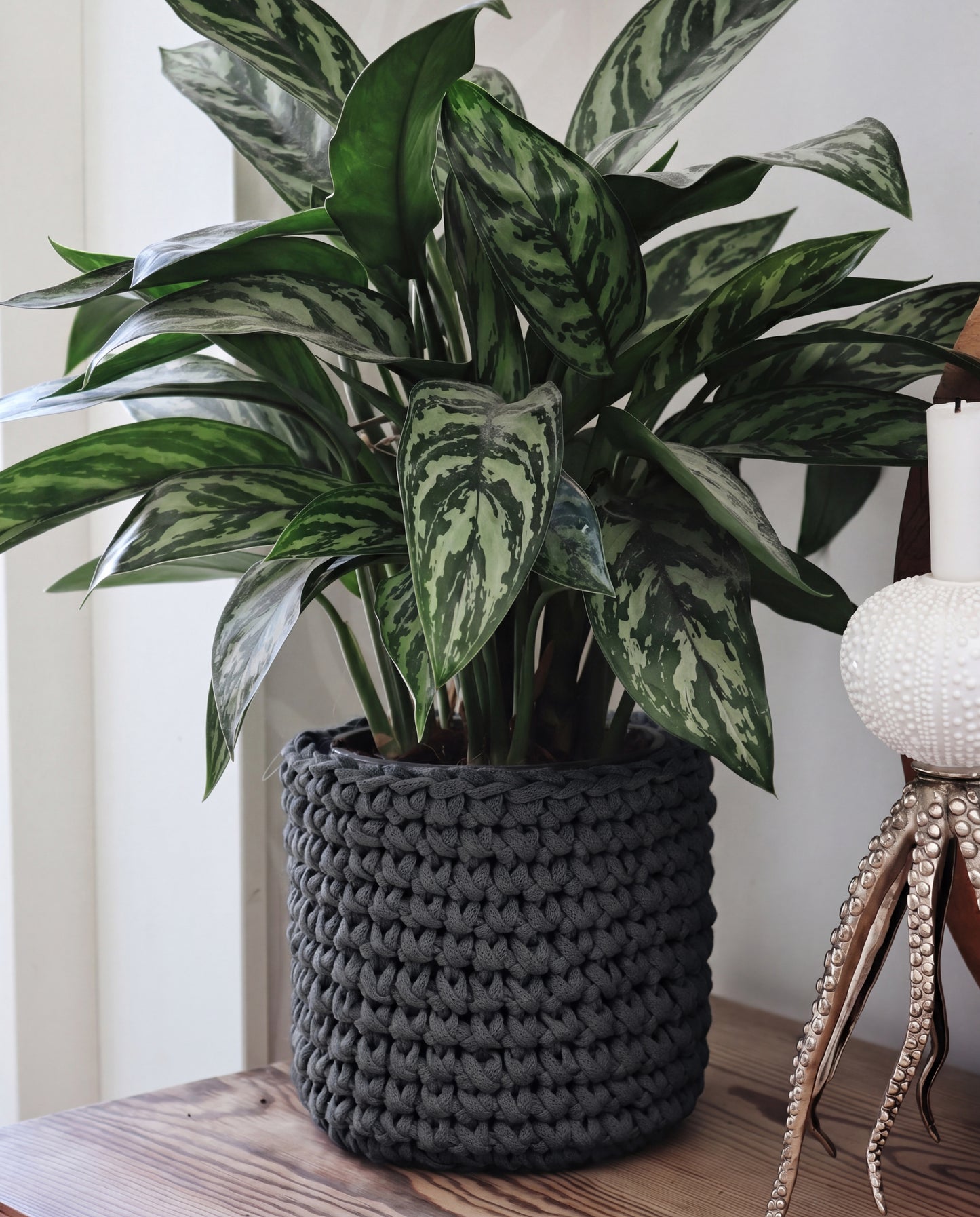 GESCHENKBOX: Gehäkchter Blumentopf
