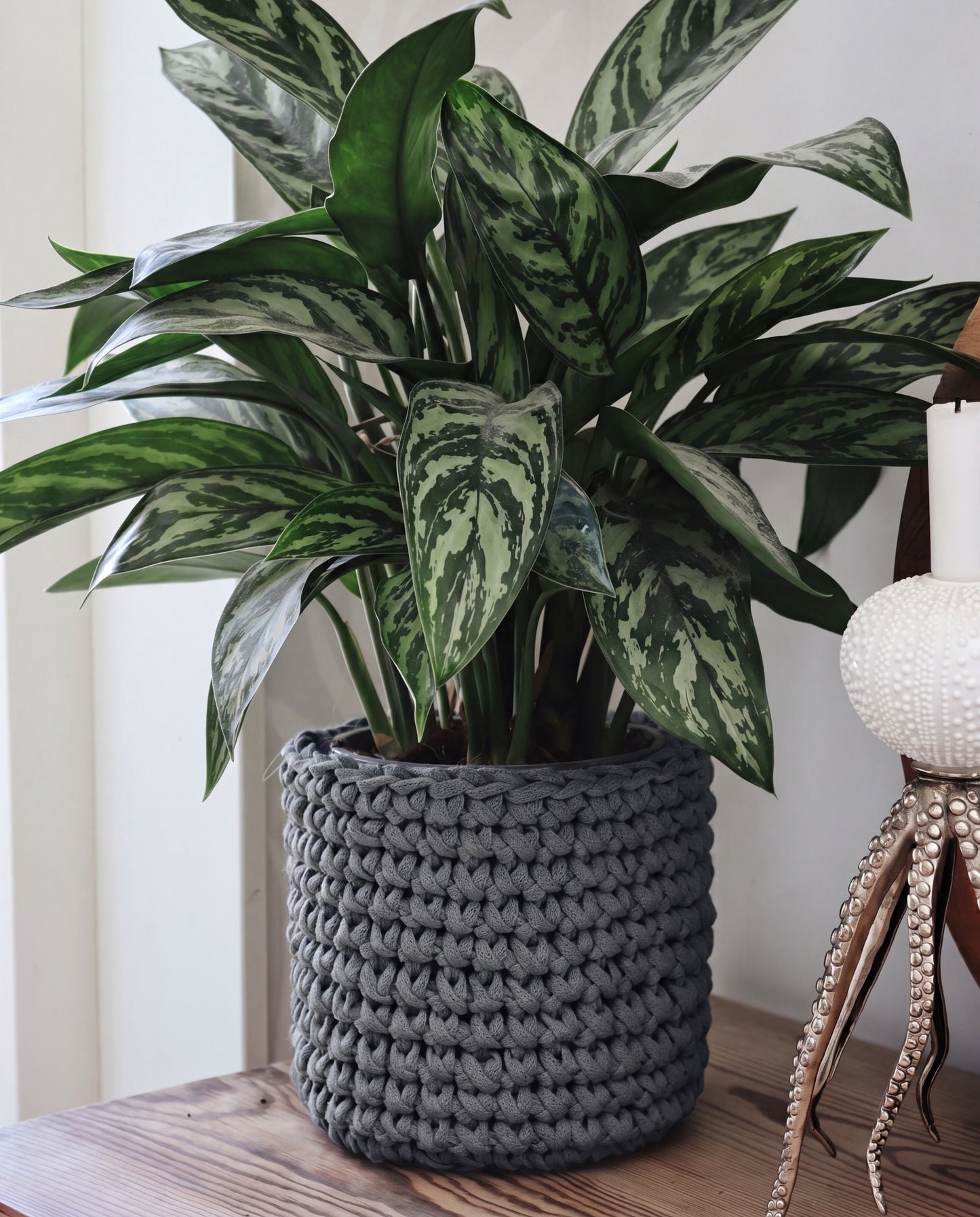 GESCHENKBOX: Gehäkchter Blumentopf