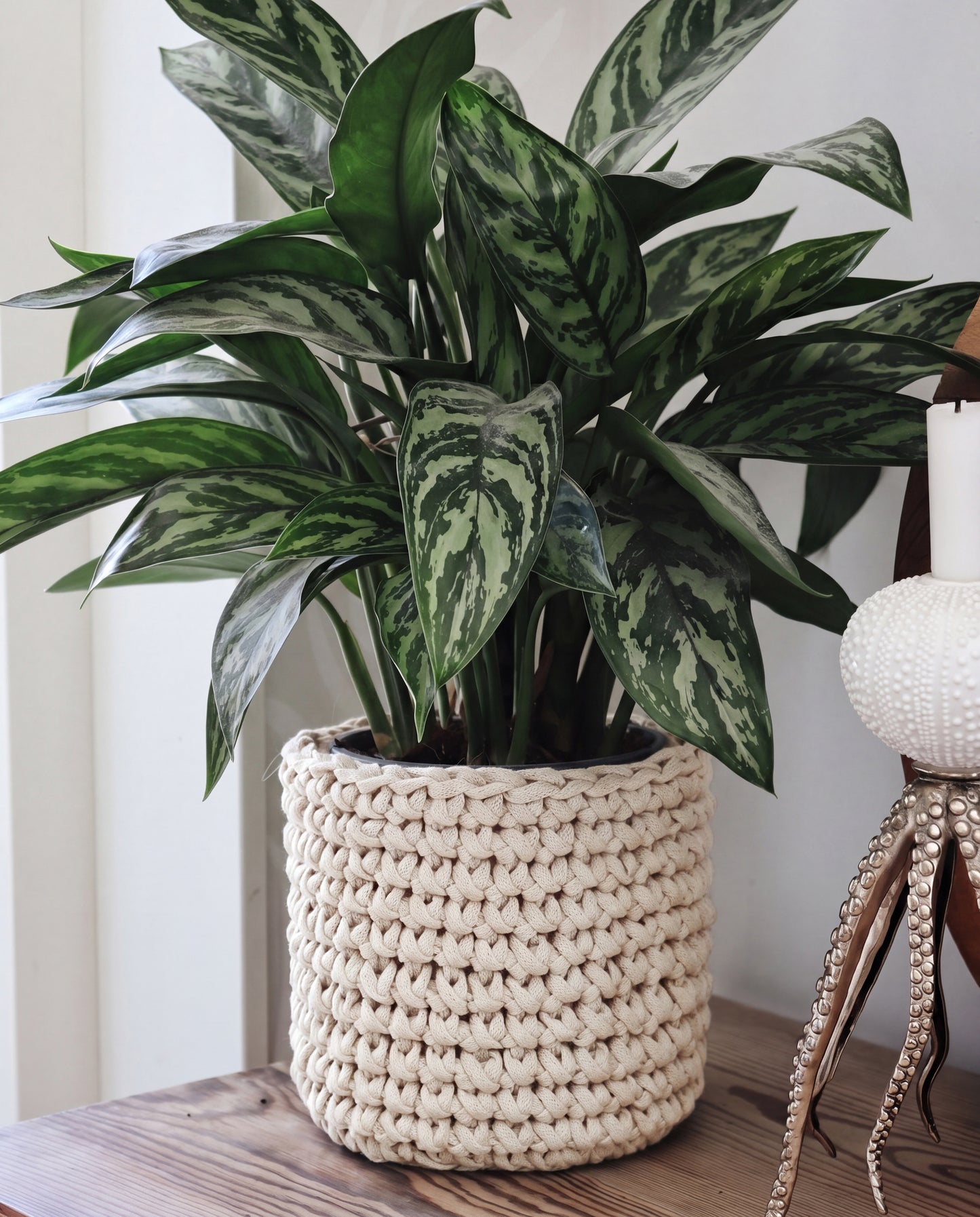 GESCHENKBOX: Gehäkchter Blumentopf