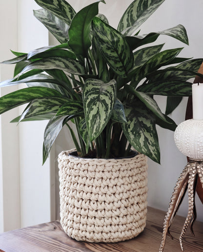 GESCHENKBOX: Gehäkchter Blumentopf
