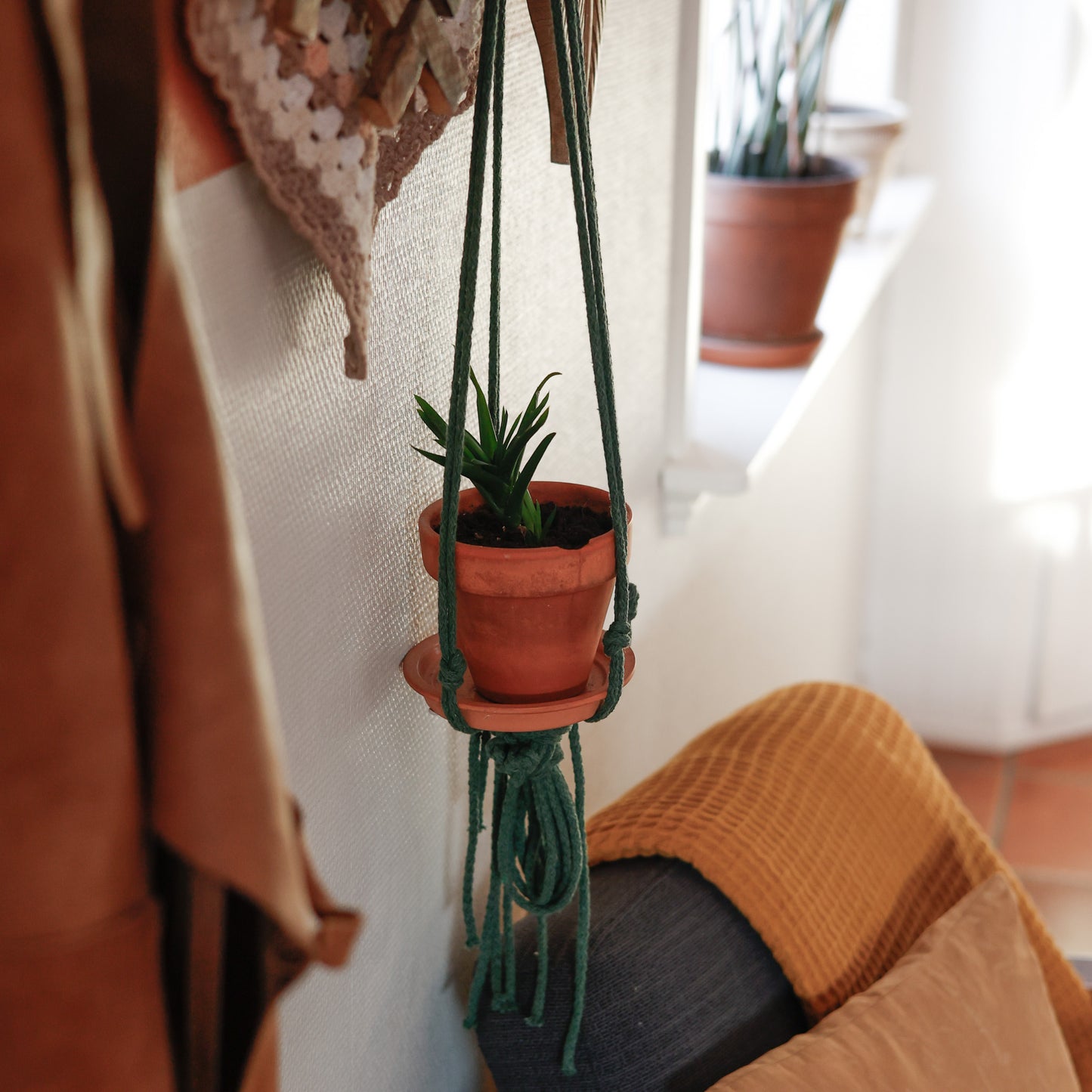 DIY kit: Macramé plant hanger