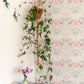 DIY kit: Macramé plant hanger