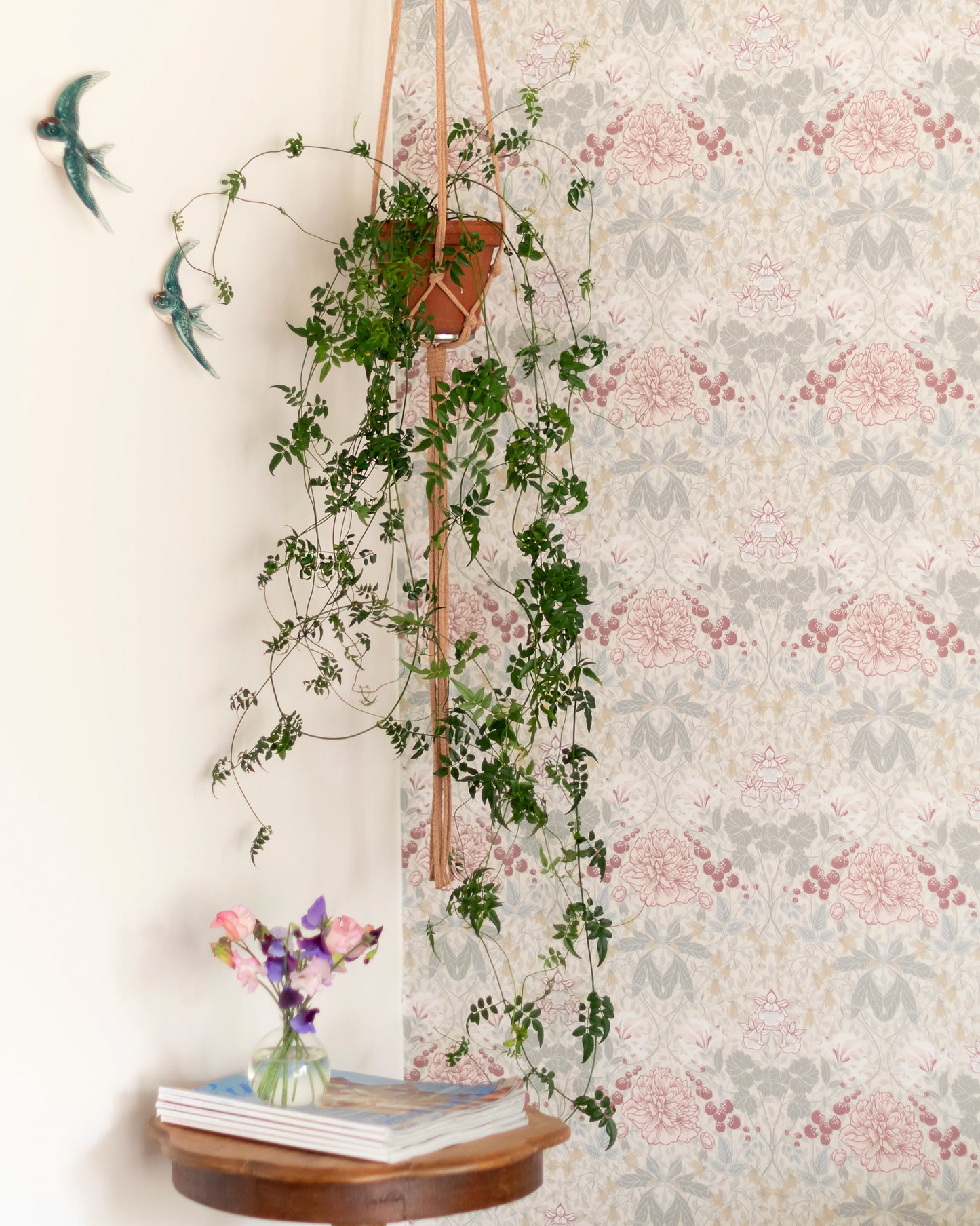 DIY kit: Macramé plant hanger
