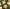 Kampanjbanner