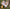 Kampanjbanner