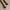 Houten steekmarkeerders