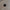 Magneetknop 19mm