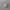 Meetlint 2m